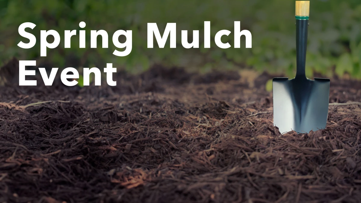 Spring Groundskeeping 