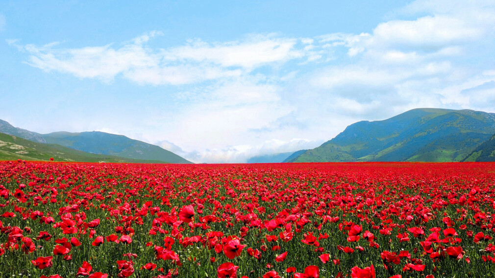 Central Asia Go Team - Spring