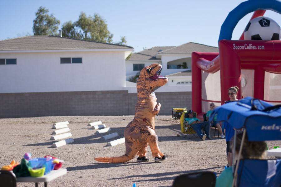 t-rex (m) t-rex (m)