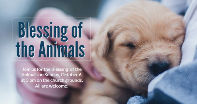 Blessing of the Animals, 3 pm