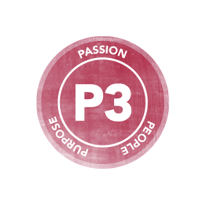 P3 Logo