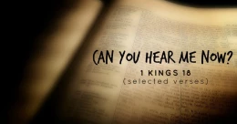 "Can You Hear Me Now?" (cont.)