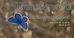 "Transfigured by Encouragement" (cont.)