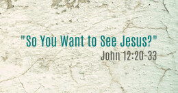 "So You Want to See Jesus?" (cont.)