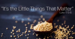 It's the Little Things That Matter (cont.)