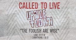 The Foolish are Wise (cont.)