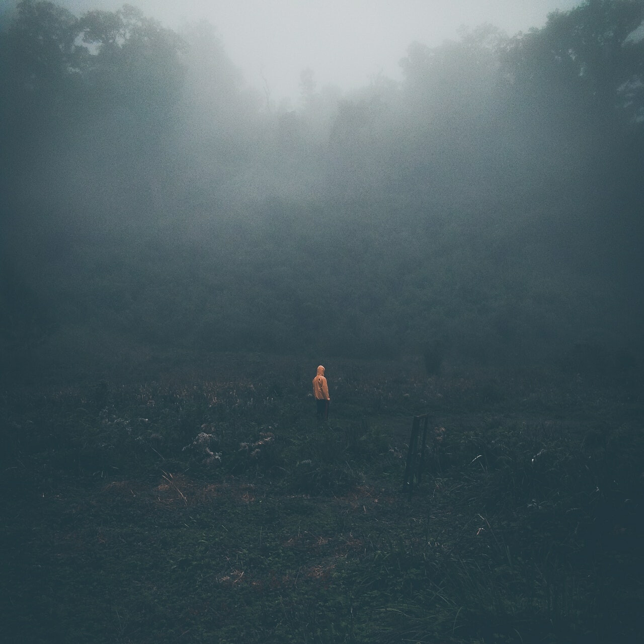 Lonely person in forest