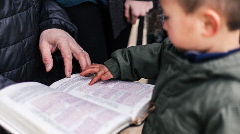 The Learning Profile: A Lesson in Teaching Sunday School to Your Family
