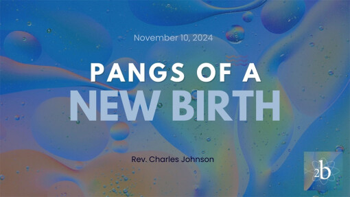 Pangs of a New Birth | November 10, 2024 | Rev. Charles Johnson