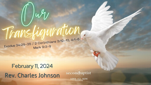 Our Transfiguration | February 11, 2024 | Rev. Charles Johnson