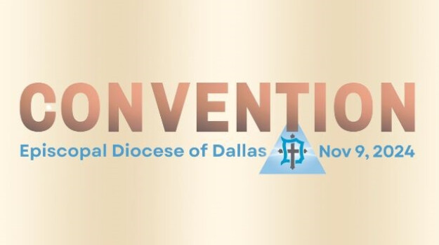 Diocesan Convention