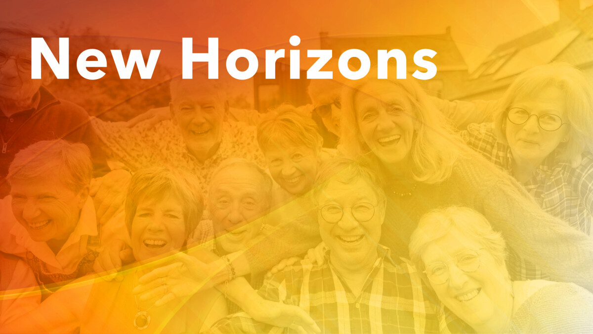 New Horizons Senior Fellowship