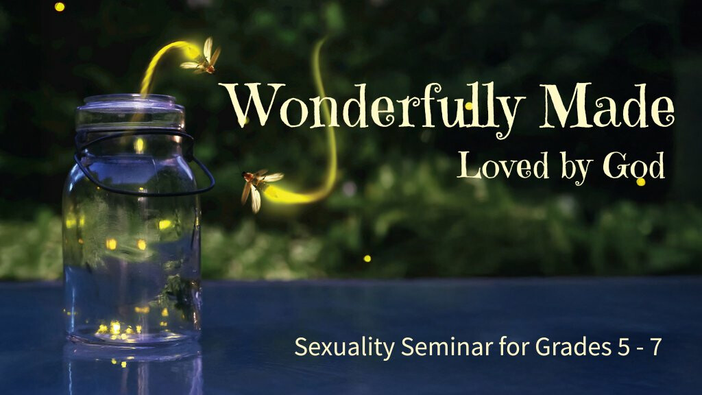 Wonderfully Made Sexuality Seminar