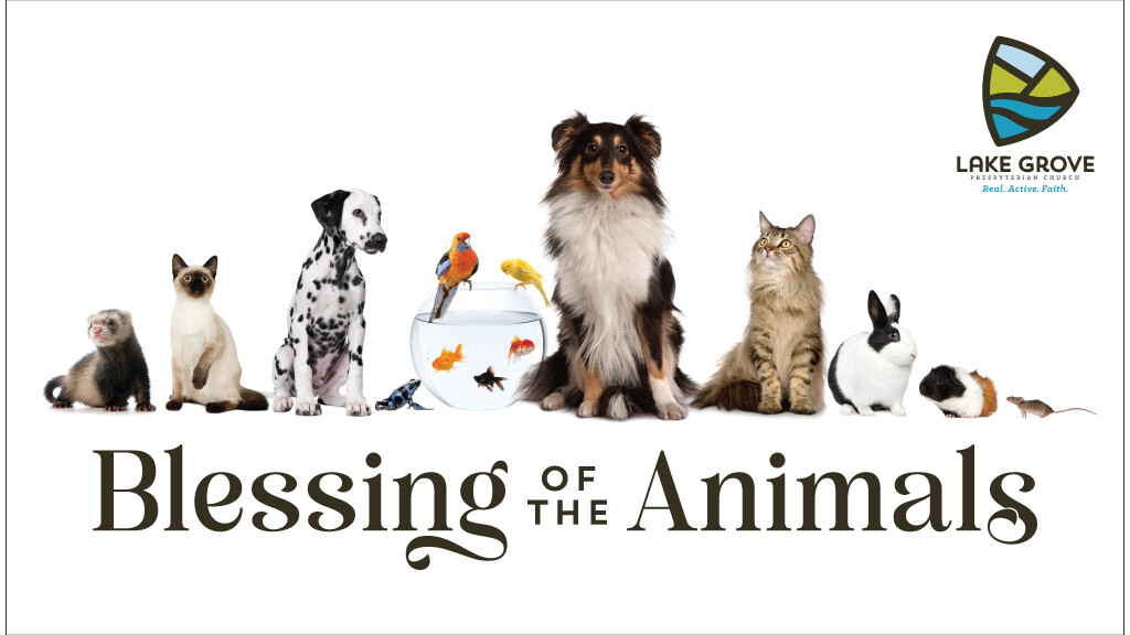 Blessing of the Pets