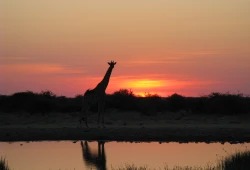 Namibia