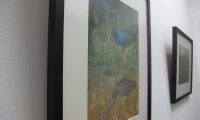 Epiphany Gallery 1
