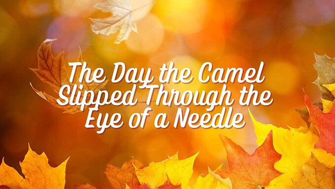 The Day a Camel Slipped Through the Eye of the Needle