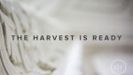 The Harvest is Ready