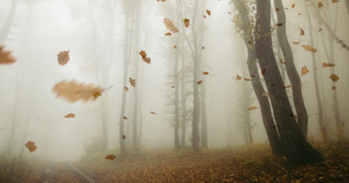 Can You Feel the Wind Blowing? Soul Stir The Fellowship