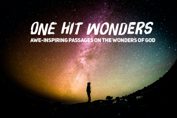 Series: One Hit Wonders