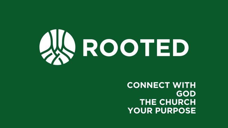 Rooted Summer Cohort