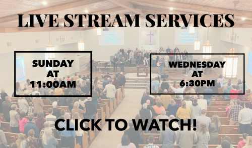 Live Stream Services