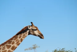 Namibia.7