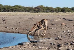 Namibia.8
