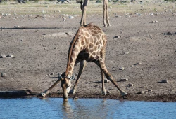 Namibia.9
