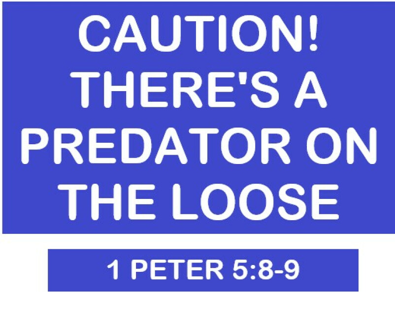 CAUTION! There's A Predator on the Loose