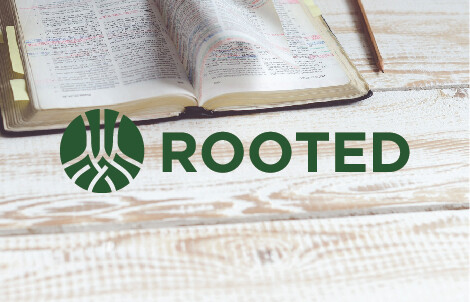 Rooted Celebration