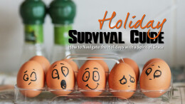Holiday Survival Guide | Show Honor