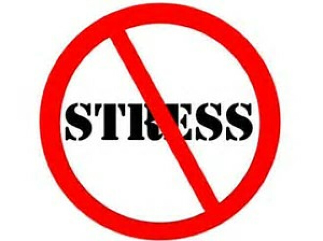 2nd Saturday Seminar: Reducing Stress