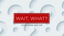 Wait, What? Good Things Take Time