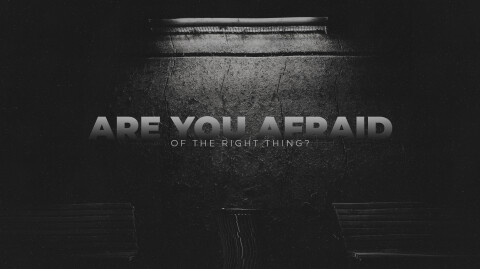 Are You Afraid Of The Right Things?