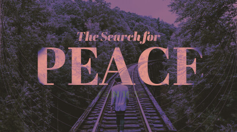 The Search For Peace