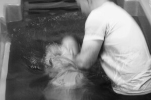 IMG_2446