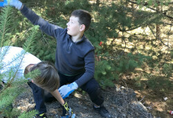 Scouts.2