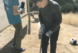 Scouts.4