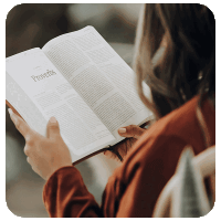 Bible Overview