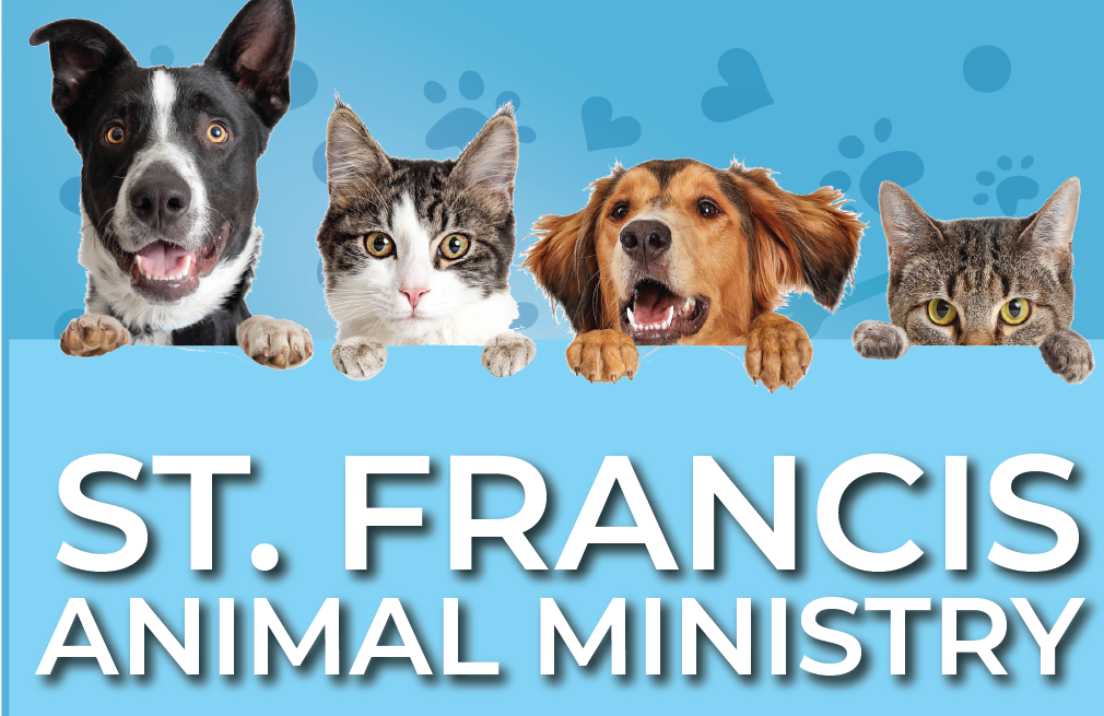 St. Francis Animal Ministry