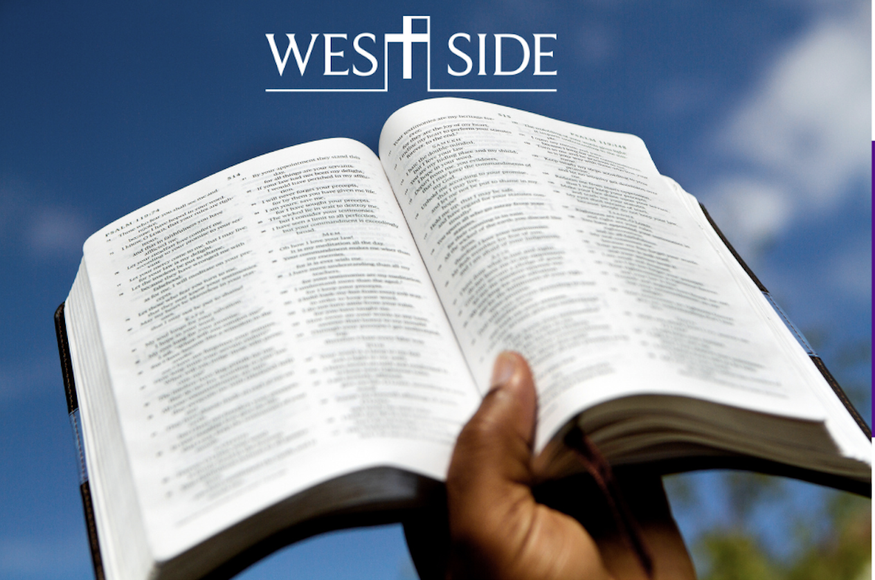 Morning Bible Study