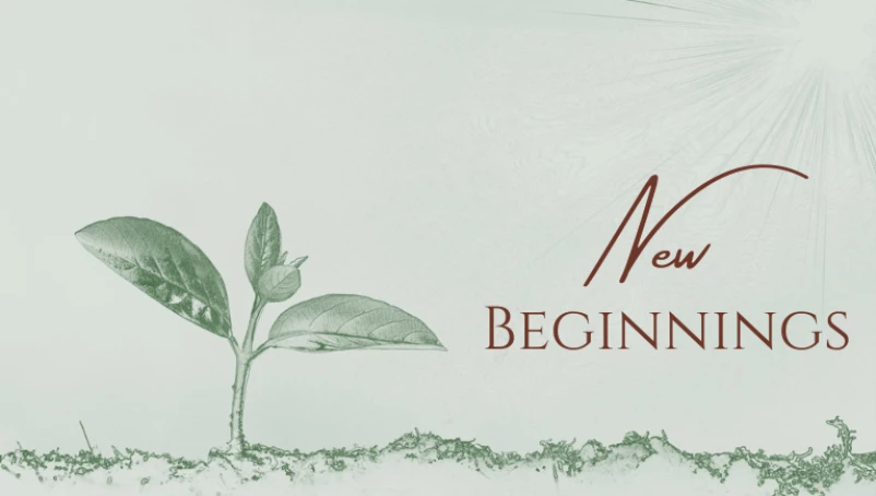 The Impact of the Church