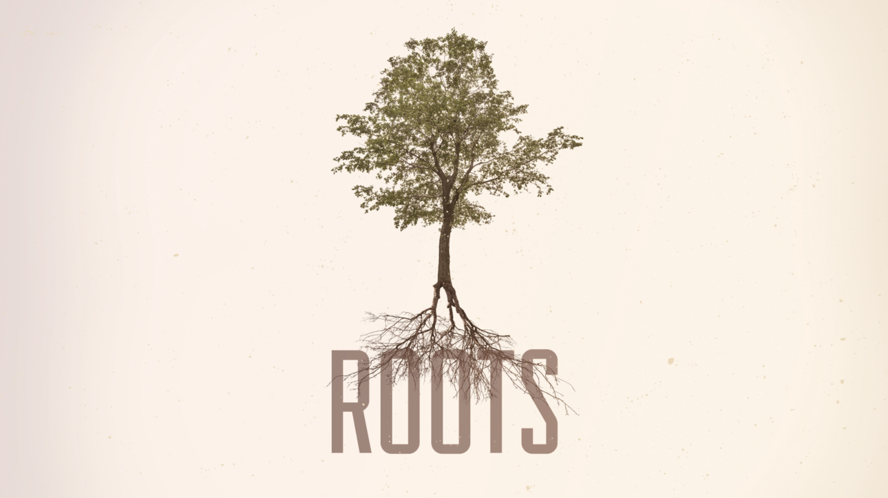 Series-Roots