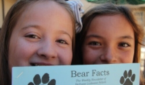 Bear Facts Newsletter