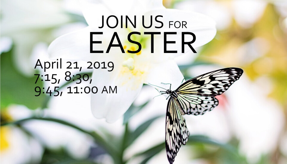 Easter Sunday Worship 11:00 am
