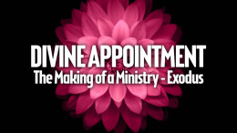 Divine Appointment