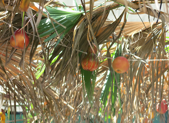 Sukkot 1