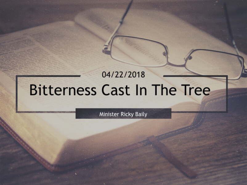 Bitterness Cast In The Tree
