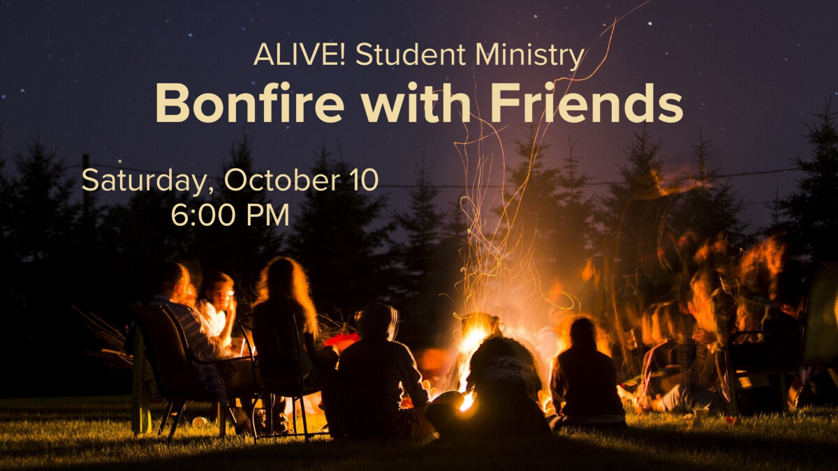 Bonfire with Friends